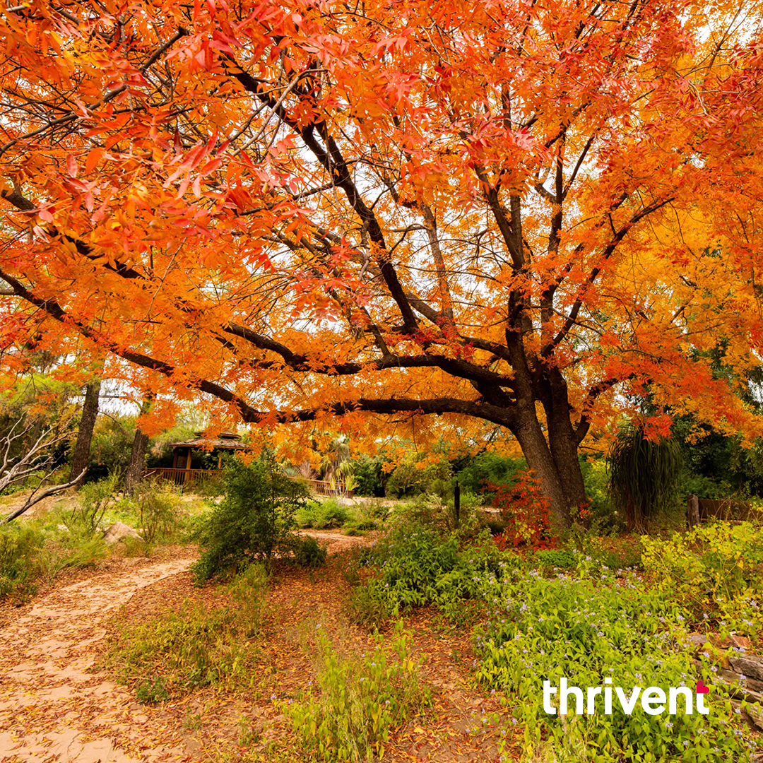 Get Your Thrivent Calendar Thrivent